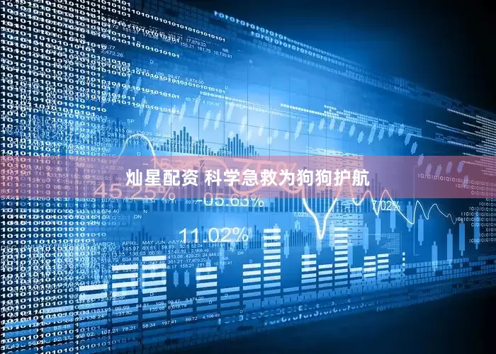 灿星配资 科学急救为狗狗护航