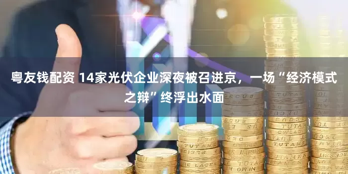 粤友钱配资 14家光伏企业深夜被召进京，一场“经济模式之辩”终浮出水面