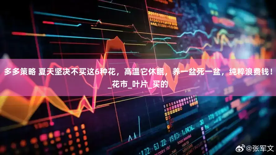 多多策略 夏天坚决不买这6种花，高温它休眠，养一盆死一盆，纯粹浪费钱！_花市_叶片_买的