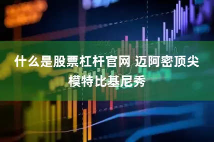 什么是股票杠杆官网 迈阿密顶尖模特比基尼秀