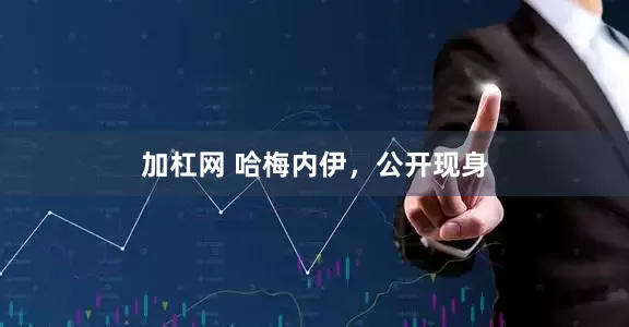 加杠网 哈梅内伊，公开现身